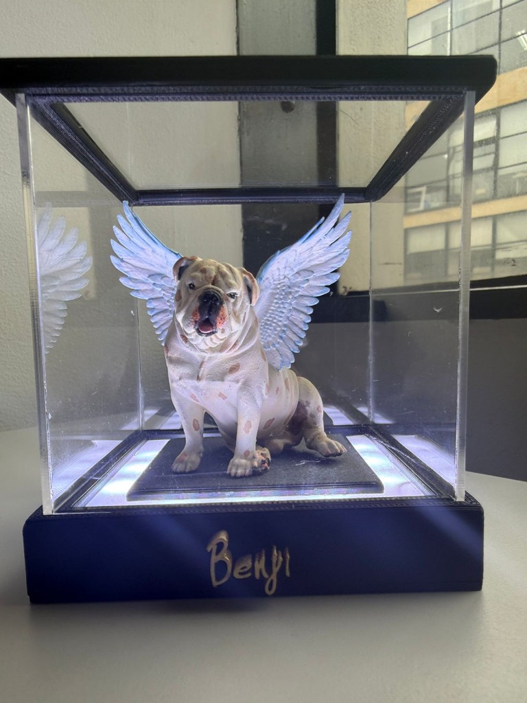 Figura personalizada de mascota en vitrina iluminada FlippArt